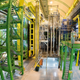 The LHCb Experimental Hall